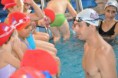 /album/galeria%20de%20fotos%3a%20gustavo%20borges%20fara%20palestra%20em%20gar%c3%a7a/pqaaaf1hduqz8jbhcczpsxs4-t-f0qfbcr-uvzbm7160ogralqsfbde-1uoufcuoq-at7iloyixf2wcbespvjvfiocam1t1uihr4kqoseos4j9l7xfnjdzdfh2k-jpg/